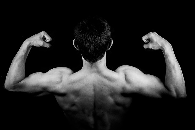 How to Choose the Right Mass Gainer Supplement