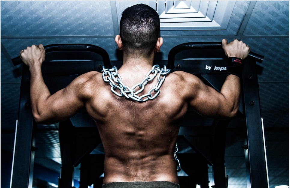 Top Tips for Building Muscle